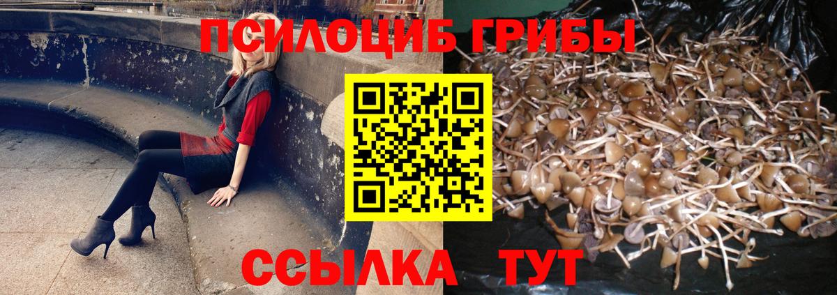 Галлюциногенные грибы Magic Shrooms Конаково